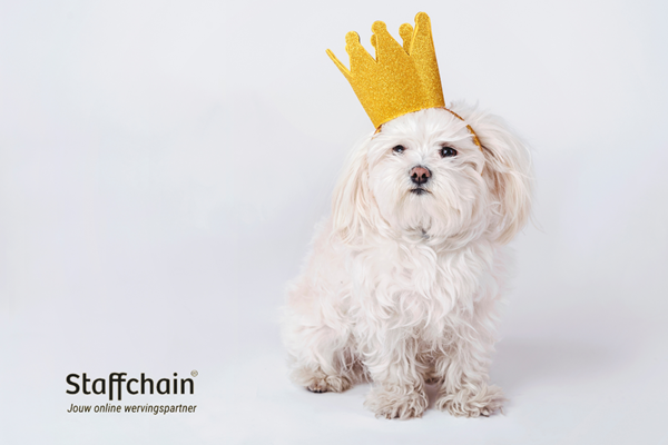 Is het beroep van koning(in) een prinsheerlijke baan of toch niet?