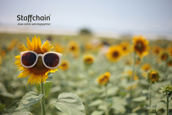 Ontdek deze zomer een frisse benadering voor jouw wervingscampagne!